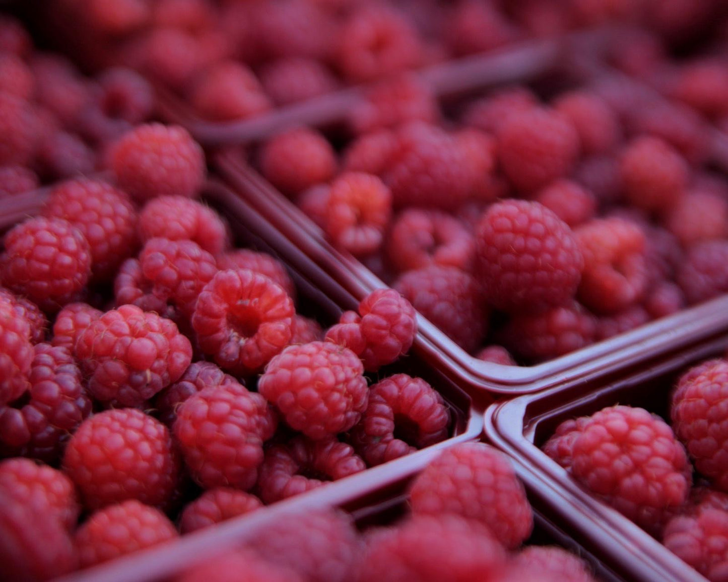 Small basket- Raspberries